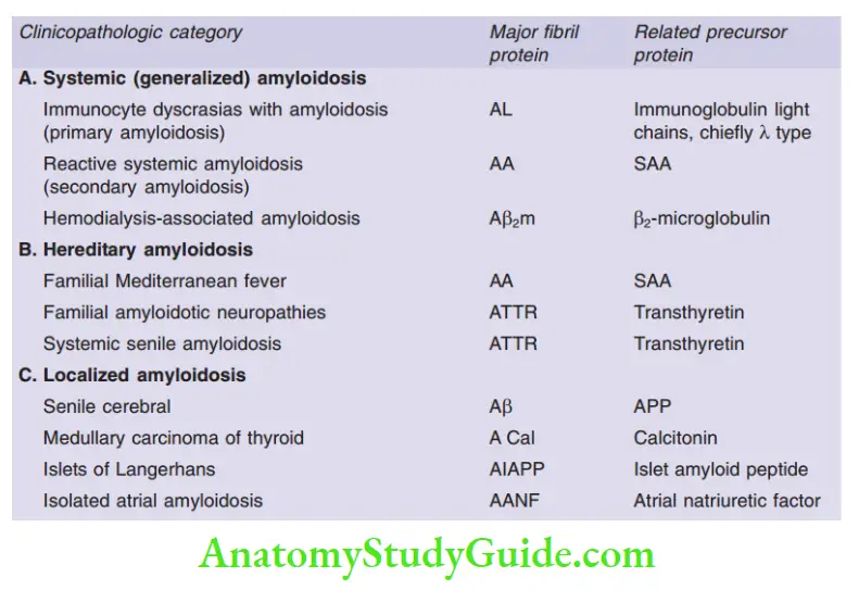 Immunity Classification of Amyloidosis