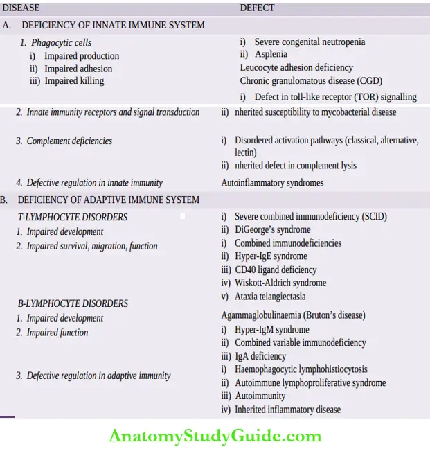 Immunodeficiency Diseases Symptoms And Causes Notes - Anatomy Study Guide