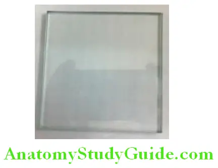 Instruments For Removable Prosthodontics glass plate