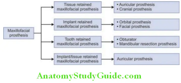 Introduction To Maxillofacial Prosthesis classification of maxillofacial prosthesis