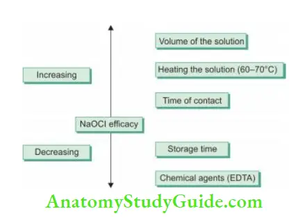Irrigation And Intracanal Medicaments Factors affcting the efficy of sodium hypochlorite.