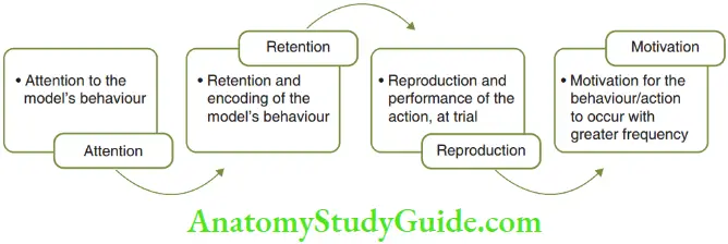Learning Theories Four Phases Of Congnitive Learning Theory Attention, Retention, Reproduction, And Motivation
