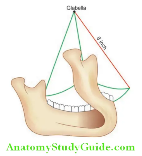 Lines Planes And Curves In Prosthodontics curve of monosb