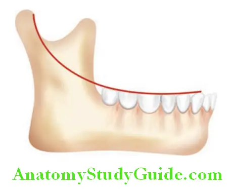 Lines Planes And Curves In Prosthodontics curve of spee