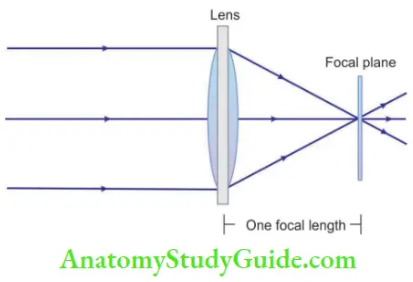 Magnification Focal Length Is The Between Principle Focus And The Optical Center Of Lens