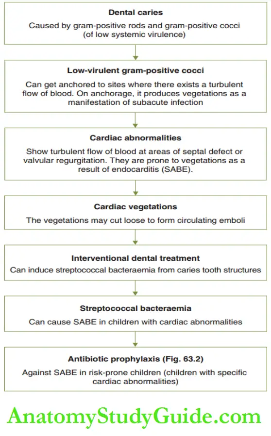 Management of Medically compromised children Association between caries and cardiac lesion. SABE, Subacute infective endocarditics