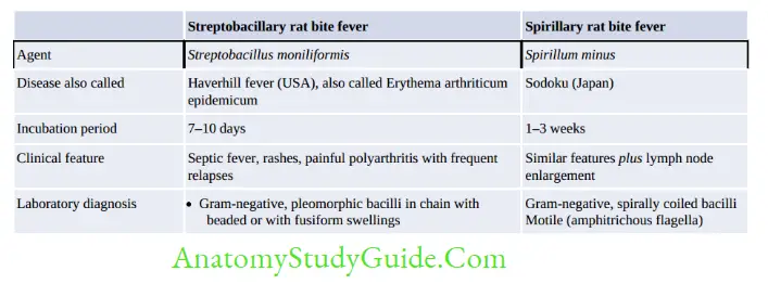 Miscellaneous Bacteria Notes Types of rat-bite fever