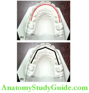 Mixed Dentition Space Analysis Notes - Anatomy Study Guide