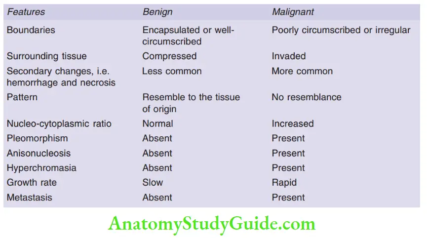 Neoplasia benign and malignant tumors