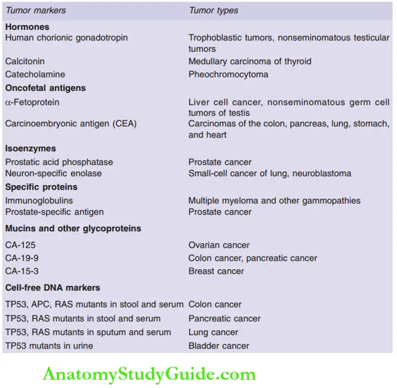 Neoplasia major tumor markers