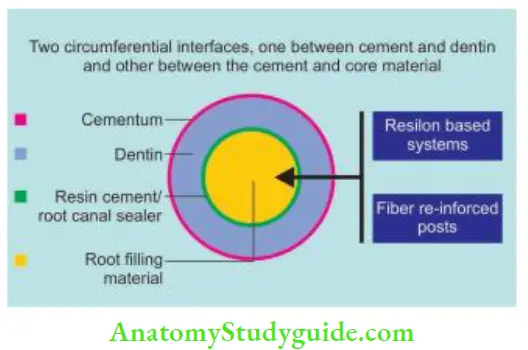Obturation Of Root Canal System Secondary monoblock concept