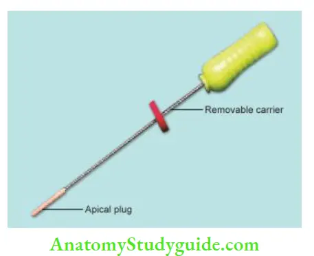 Obturation Of Root Canal System Simplifil stainless steel carrier with apical gutta-percha plug.