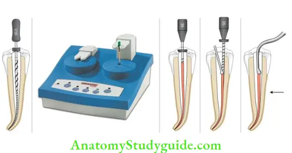 Obturation Of Root Canal System Thermafi Endodontic Obturators