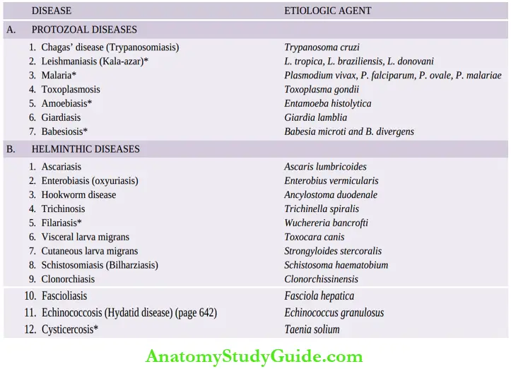 Parasitic Diseases Notes - Anatomy Study Guide