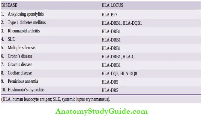 Pathogenesis Of Autoimmunity HLA Loci Predisposing To Autoimmune Diseases