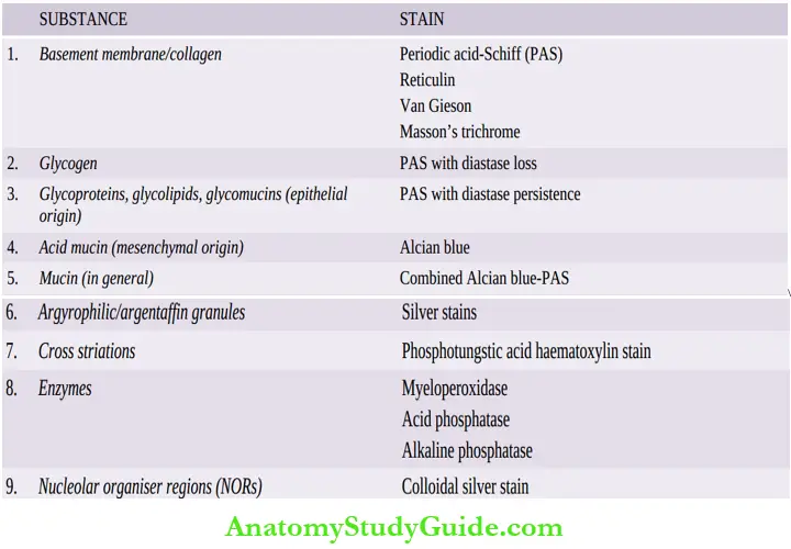 Pathologic Diagnosis Of Tumours Notes - Anatomy Study Guide
