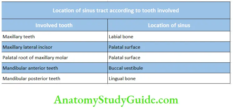 Pathologies Of Pulp And Periapex Notes Location of sinus tract according to tooth involved
