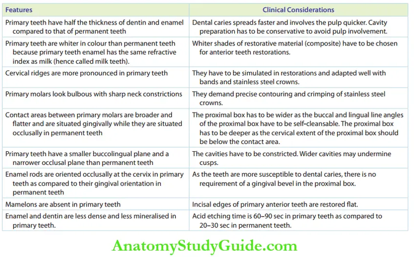 Peadiatric Operative Density An Overview Anatomical Features And Clinical Considerations Of Primary Teeth