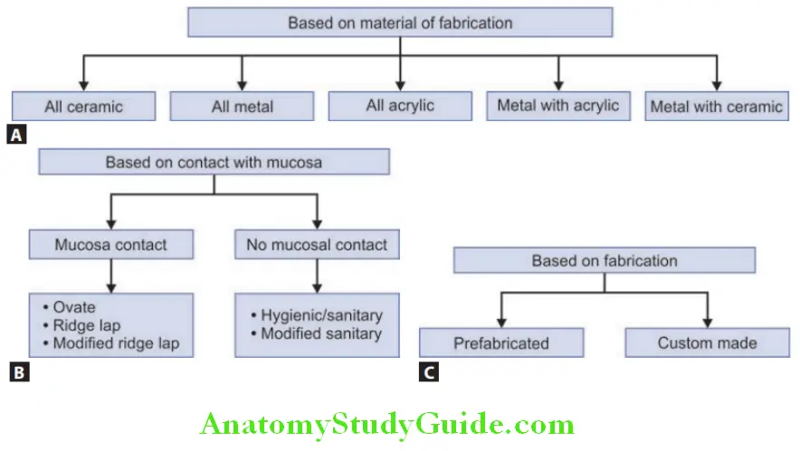 Pontic Retainers And Connectors classification of pontic