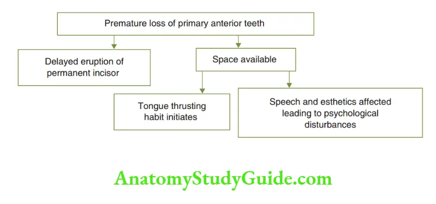 Preventive Orthodontics notes Possible sequelae of premature loss of primary anterior teeth
