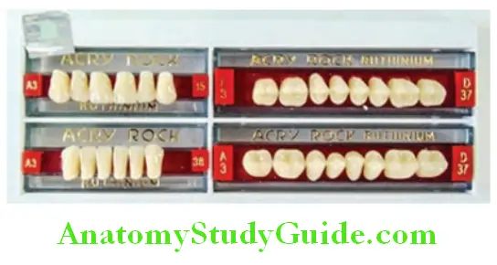 Prosthetic Teeth acrylic teeth set
