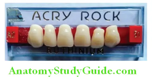 Prosthetic Teeth tooth card with anterior teeth