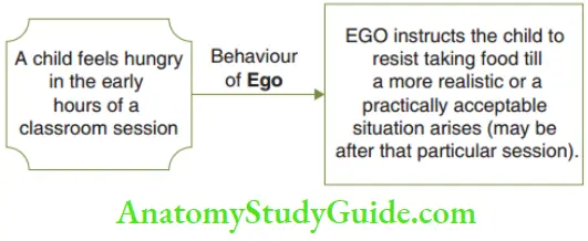 Psychoanalytical Viewpoint Psychosexual Theory Ego Behaviour
