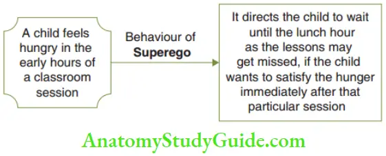 Psychoanalytical Viewpoint Psychosexual Theory Superego Behaviour