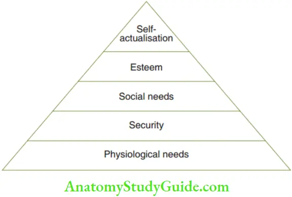 Psychoanalytical Viewpoint Psychosocial Theory Hierarchy Of Needs