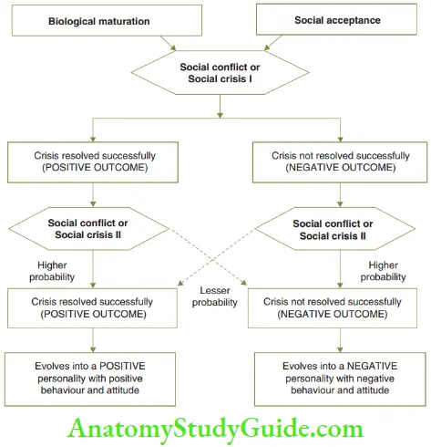 Psychoanalytical Viewpoint Psychosocial Theory Outline Of Psychosocial Theory