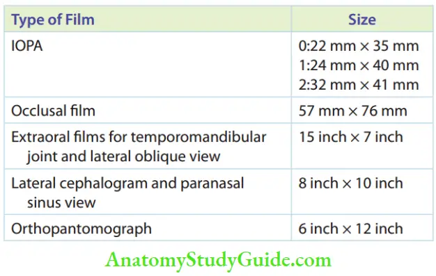 Radiographic Investigation Film Sizes For Various Radiographs