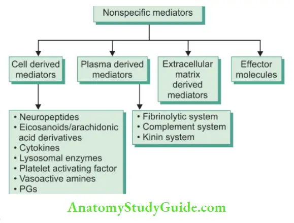 Rationale Of Endodontic Treatment Notes Types of nonspecifi mediators.