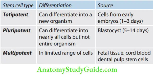 Regenerative Endodontic Categories Of System Cells Accoring To Their Porency