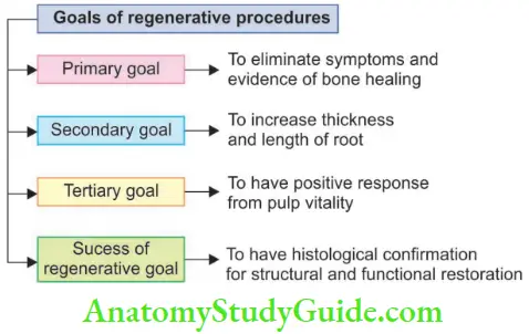 Regenerative Endodontics Schematic Representation Showing Goals Of Regenerative Endodontics
