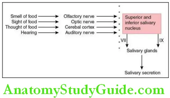 Saliva components of conditioned reflex of salivary seretion