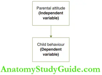 Science Of Child Behaviour Bells One-Tailed Theory
