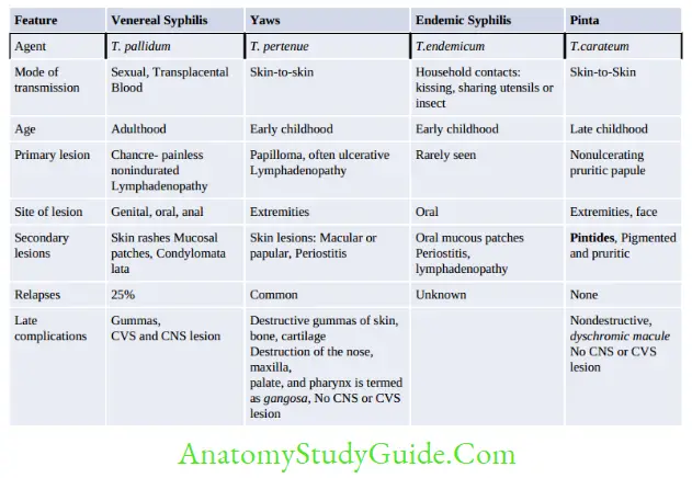 Spirochetes Comparison of venereal syphilis vs non-venereal treponematoses