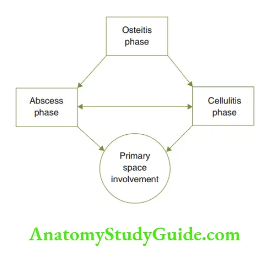 Spread Of Dentoalveolar Relation between space involvement and dentoalveolar