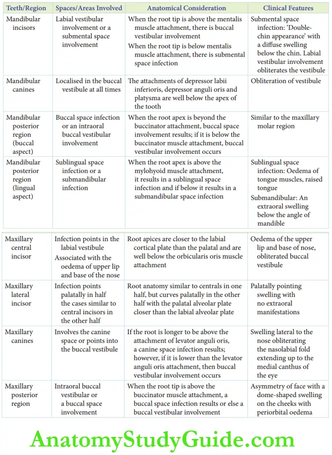 Spread Of Dentoalveolar Spread of dentoalveolar infection from different regions