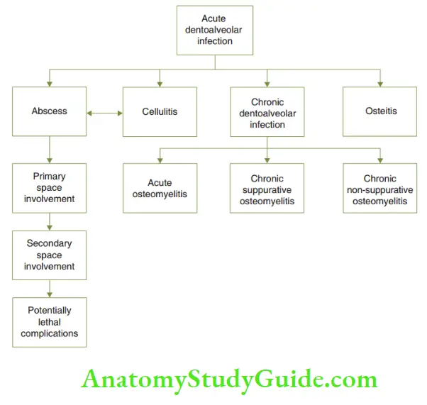 Spread Of Dentoalveolar Spread of dentoalveolar infection