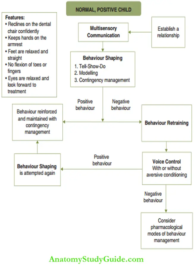 Strategy Of Behaviour Management Management Of A Normal Positive Child