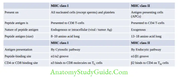 Structure Of Immune System And Immune Response Differences between MHC class I and MHC class II molecules