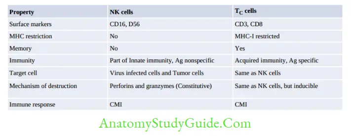 Structure Of Immune System And Immune Response Differences between NK cells and T