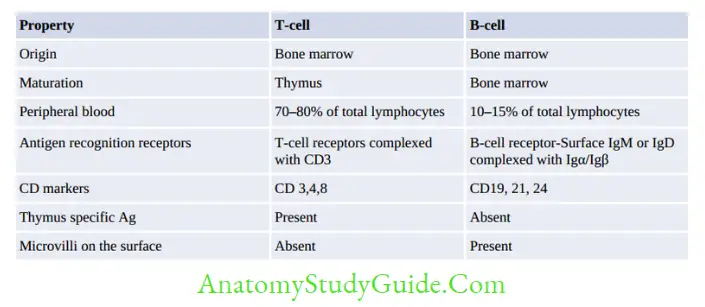 Structure Of Immune System And Immune Response Differences between T-cell and B-cell