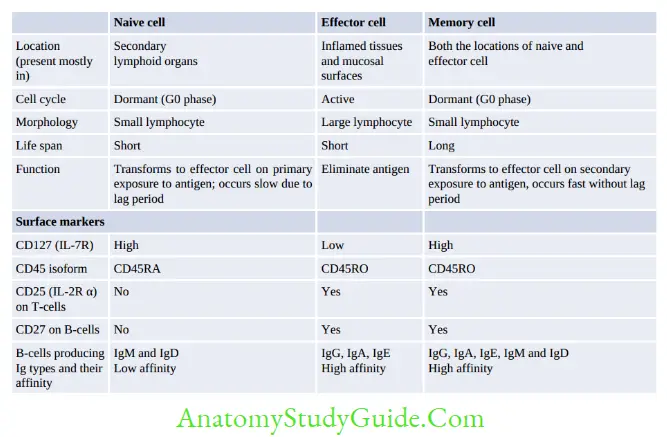 Structure Of Immune System And Immune Response Differences between naive cell, effector cell and memory cell