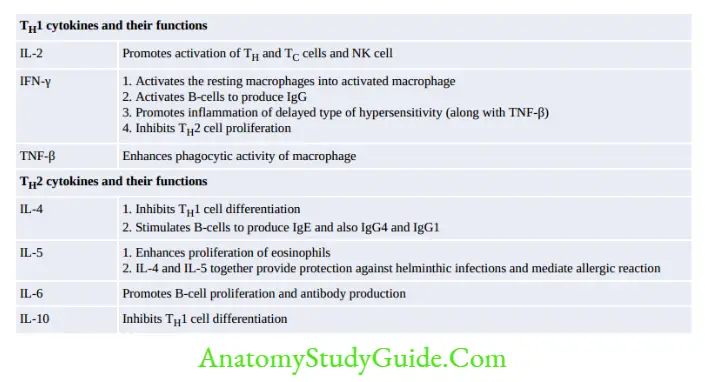 Structure Of Immune System And Immune Response T 1 cytokines and their functions