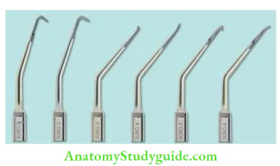 Surgical Endodontics Ultrasonic tip for root-end preparation.