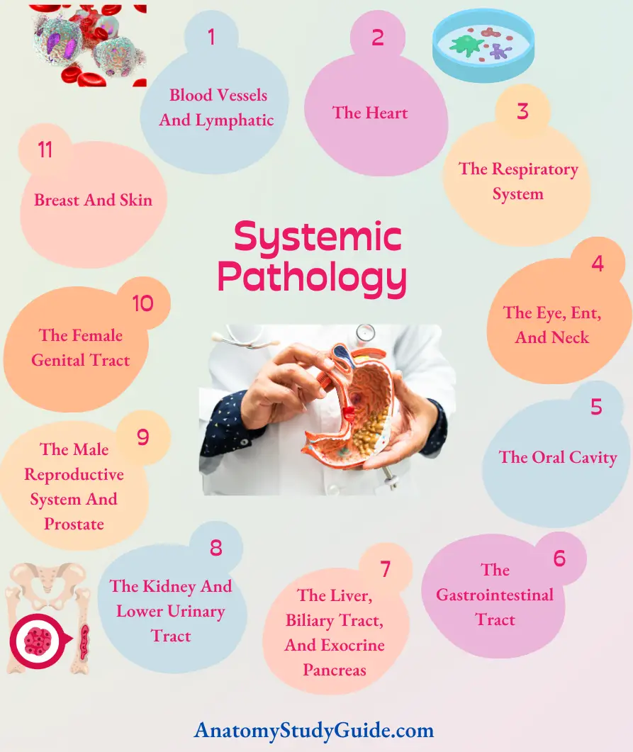 Systemic Pathology