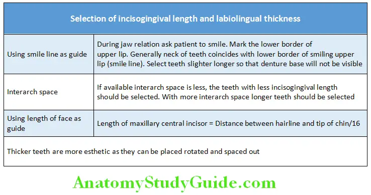Teeth Selection Brief Overview selection of incisogingival length and labiolingual thickness