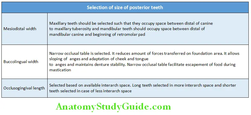 Teeth Selection Brief Overview selection of size of posterior teeth